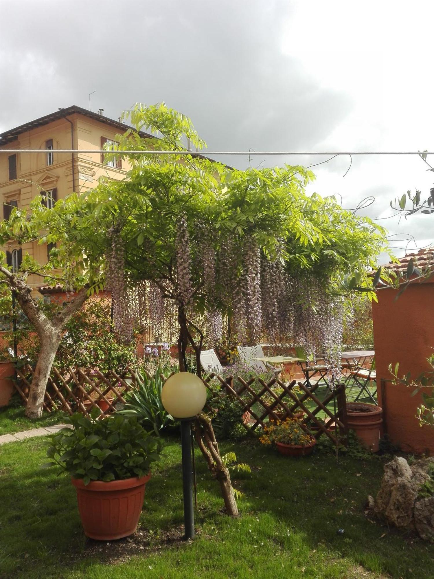 לינה וארוחת בוקר פרוג'ה Al Giardino Di Alice מראה חיצוני תמונה