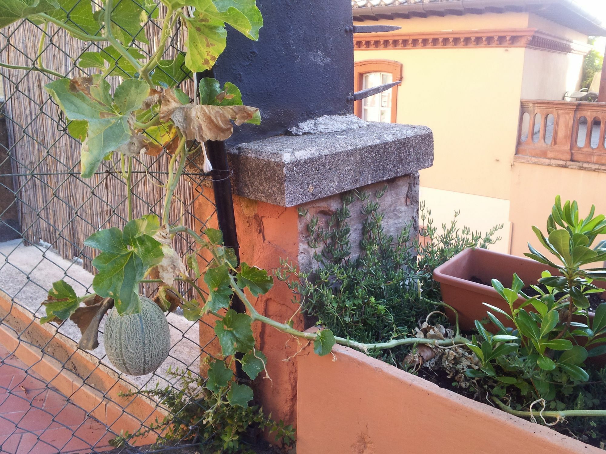 לינה וארוחת בוקר פרוג'ה Al Giardino Di Alice מראה חיצוני תמונה