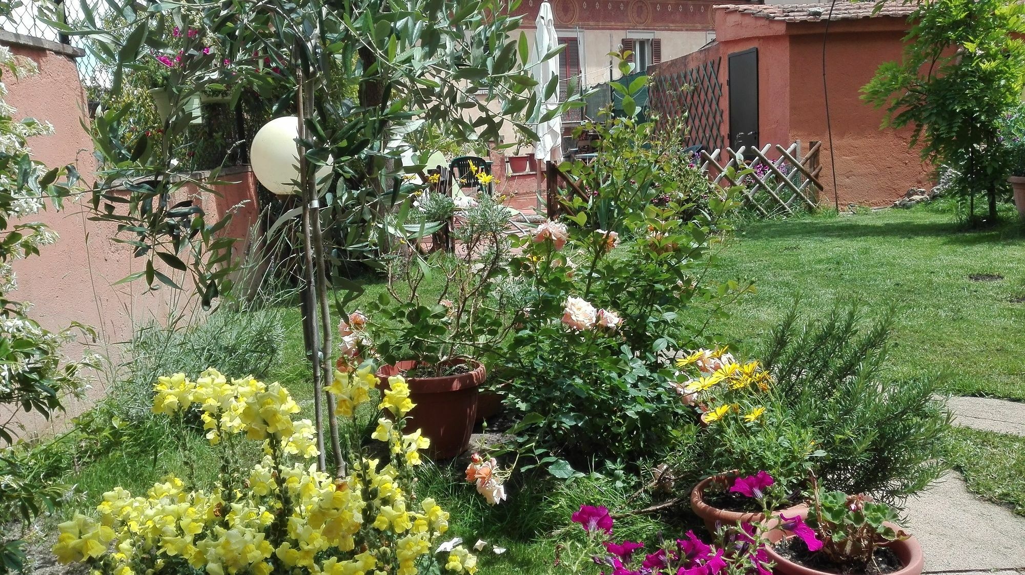 לינה וארוחת בוקר פרוג'ה Al Giardino Di Alice מראה חיצוני תמונה