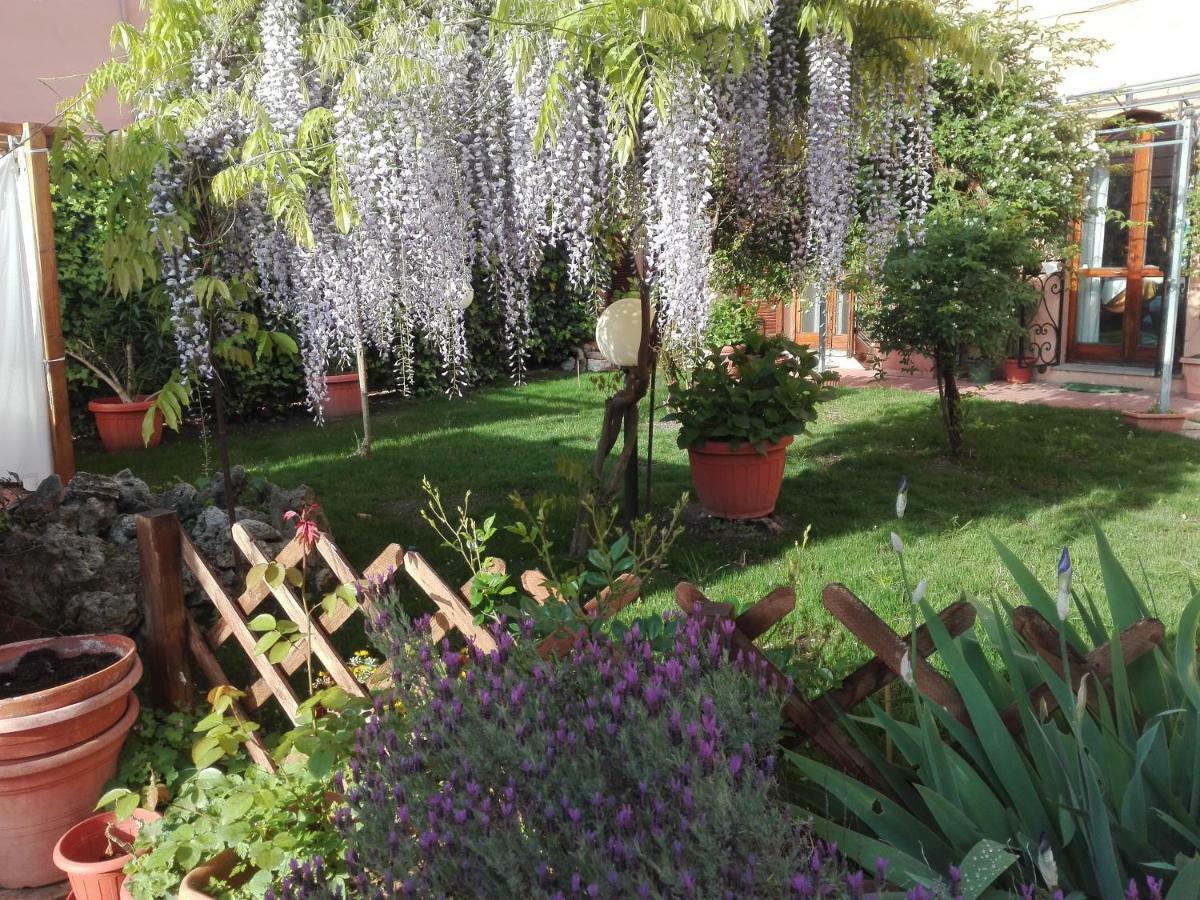 לינה וארוחת בוקר פרוג'ה Al Giardino Di Alice מראה חיצוני תמונה